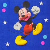 1582-set-10-servetele-mickey