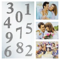 1683-set-propsuri-cifre-0-9-argintiu