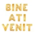 Set aranjament baloane litere Bine ati Venit, auriu