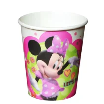 833-set-10-pahare-minnie-2