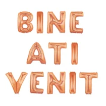 886-set-aranjament-baloane-litere-bine-ati-venit-rose-gold