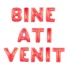 Set aranjament baloane litere Bine ati Venit, 40 cm