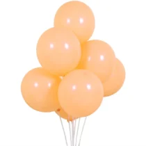 1238_33-set-6-baloane-somon-deschis-12-cm