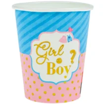 2194-set-6-pahare-gender-reveal-boy-or-girl
