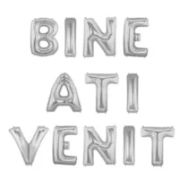 2409-set-aranjament-bundle-litere-bine-ati-venit-argintiu