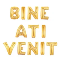 2410-set-aranjament-bundle-litere-bine-ati-venit-auriu